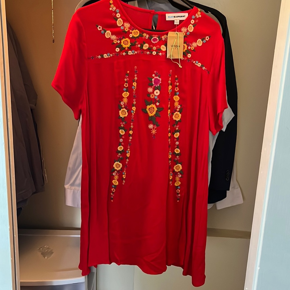 Gorgeous red tunic/dress